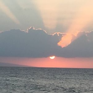 Meet your Posher, Glenda